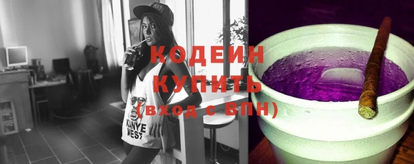 амф Гусиноозёрск