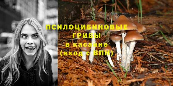 кокаин колумбия Новодвинск