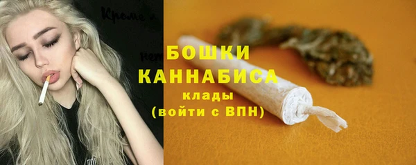 ECSTASY Гусев