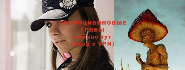 ECSTASY Гусев