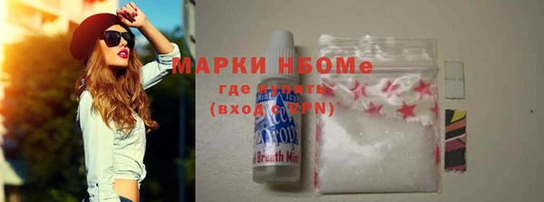 амф Гусиноозёрск