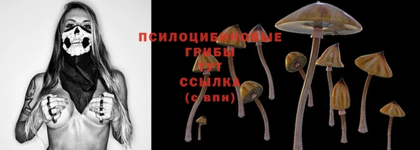 ECSTASY Гусев