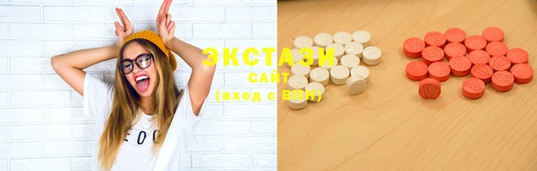 ECSTASY Гусев