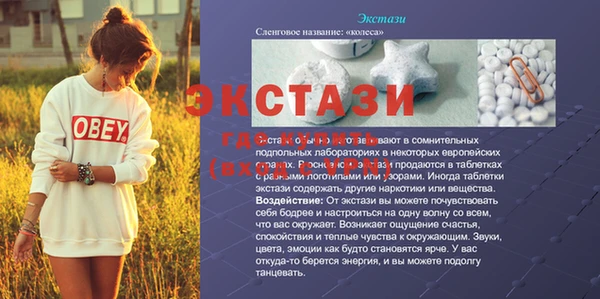 ECSTASY Гусев