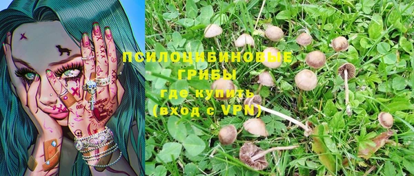 герыч Гусь-Хрустальный
