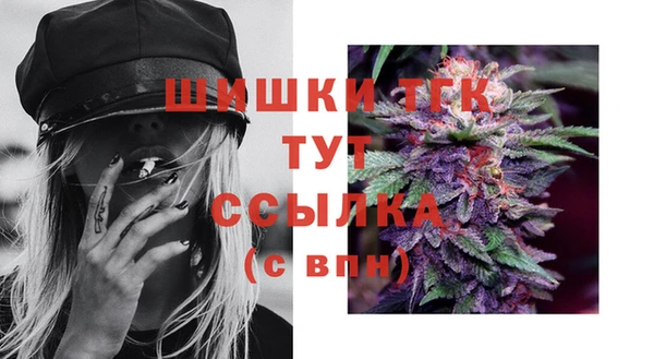 герыч Гусь-Хрустальный