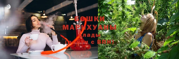 ECSTASY Гусев