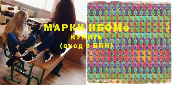 амф Гусиноозёрск