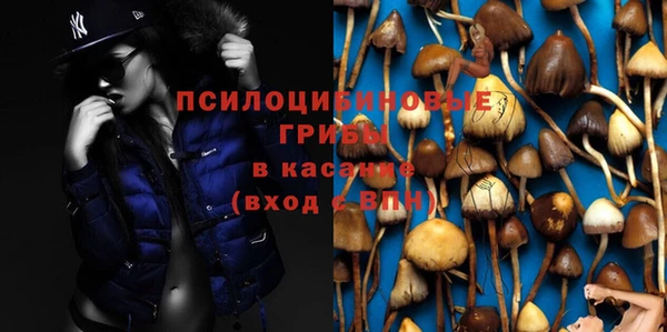герыч Гусь-Хрустальный