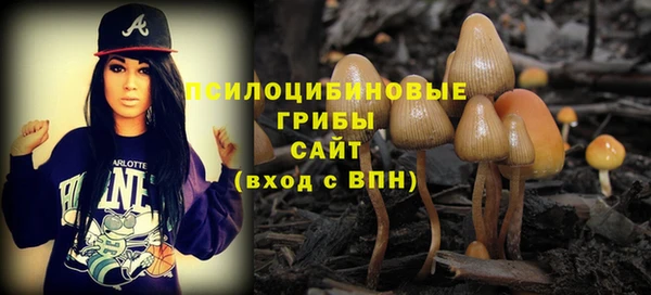 индика Дмитриев