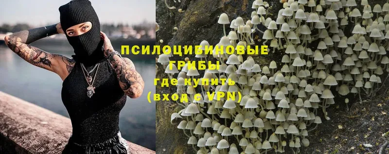 Галлюциногенные грибы Magic Shrooms  Жиздра 