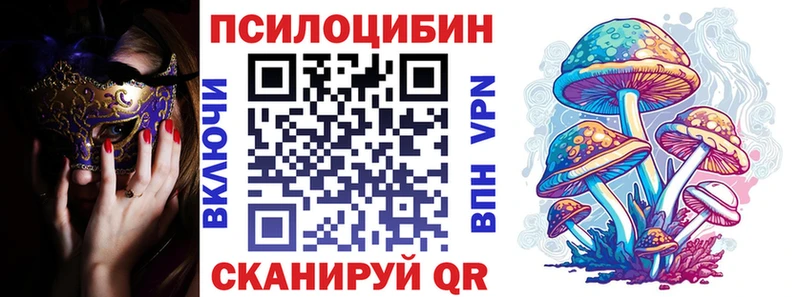 MEGA tor  Жиздра  Галлюциногенные грибы прущие грибы 